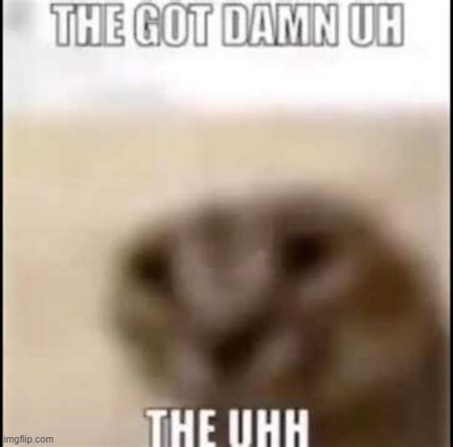 n | image tagged in the got damn the uh the uhhh | made w/ Imgflip meme maker