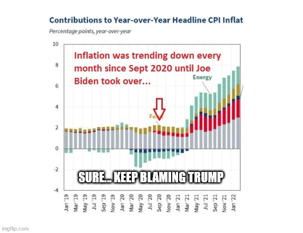 The numbers don't lie, it's Biden's fault | SURE... KEEP BLAMING TRUMP | image tagged in dementia,joe biden,but that's not my fault | made w/ Imgflip meme maker