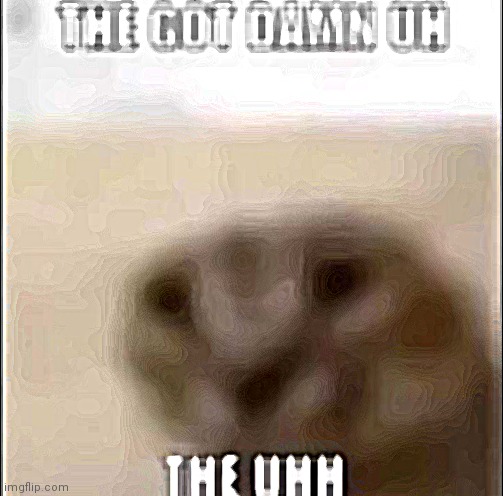 The got damn the uh the uhhh | image tagged in the got damn the uh the uhhh | made w/ Imgflip meme maker