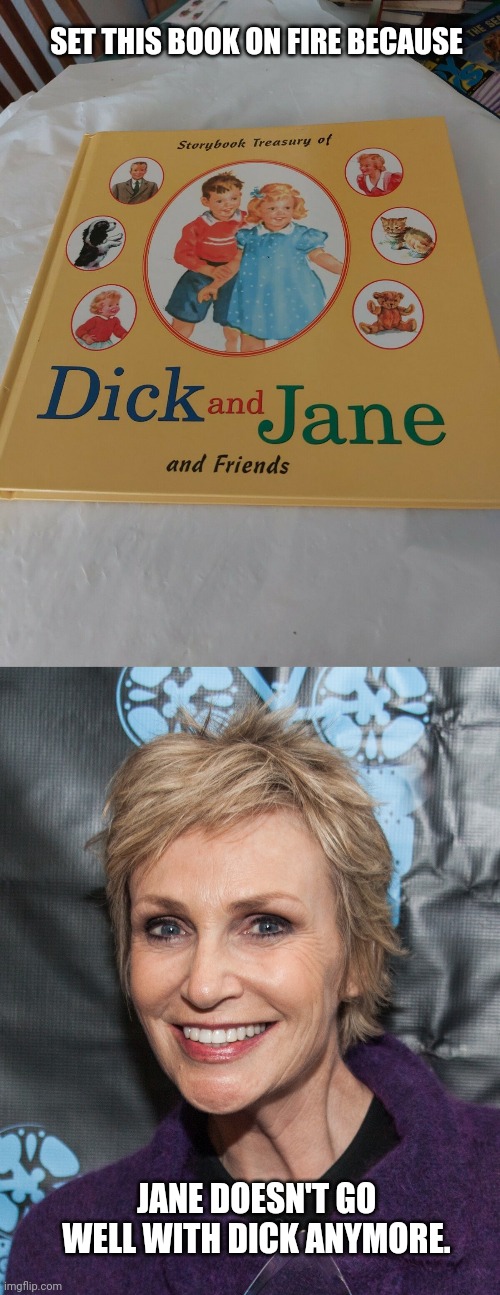 Dick and Jane are completely stupid! Lisa Frank (school supplies company) and Jane (cosmetics company) are way more nicer! | SET THIS BOOK ON FIRE BECAUSE; JANE DOESN'T GO WELL WITH DICK ANYMORE. | image tagged in jane lynch,stupid,lisa frank,cosmetics,glitter,mariah carey | made w/ Imgflip meme maker