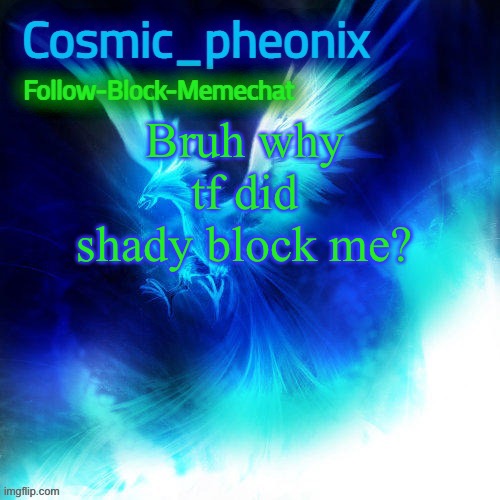 Cosmic_phoenix temp | Bruh why tf did shady block me? | image tagged in cosmic_phoenix temp | made w/ Imgflip meme maker