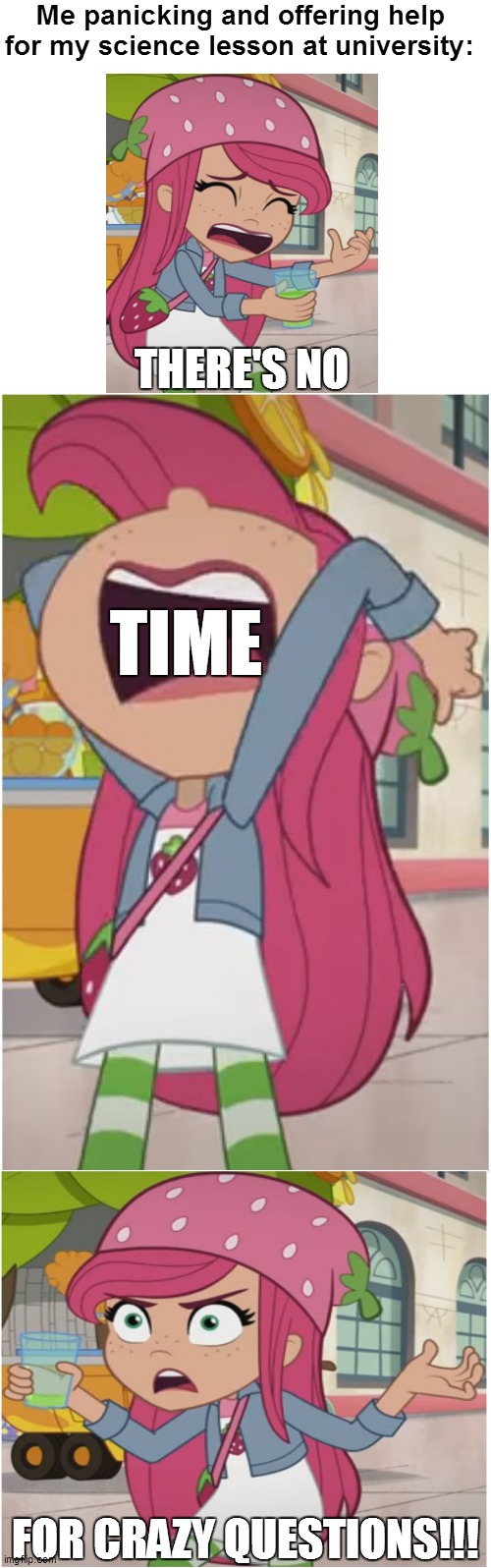 THERE'S NO TIME FOR CRAZY QUESTIONS! |  Me panicking and offering help for my science lesson at university:; THERE'S NO; TIME; FOR CRAZY QUESTIONS!!! | image tagged in strawberry shortcake,strawberry shortcake berry in the big city,university,memes,funny,funny memes | made w/ Imgflip meme maker
