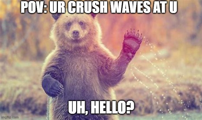 bear has crush? | POV: UR CRUSH WAVES AT U; UH, HELLO? | image tagged in pov,lolz,fun | made w/ Imgflip meme maker