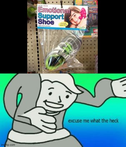 tbh I kind of want this | image tagged in excuse me what the heck,memes,funny memes,cursed,emotional,shoe | made w/ Imgflip meme maker