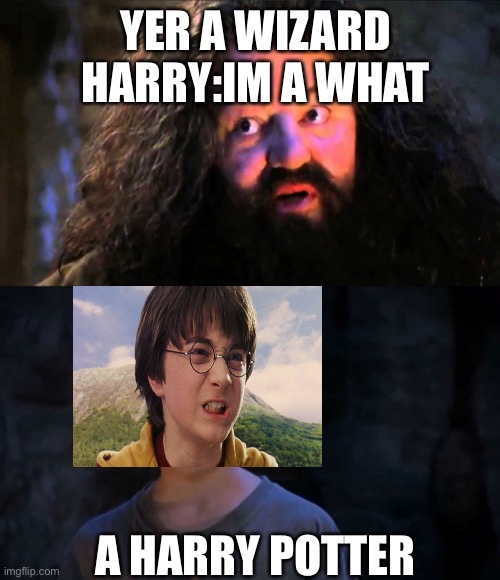 You are wizzard harry | YER A WIZARD HARRY:IM A WHAT; A HARRY POTTER | image tagged in you are wizzard harry | made w/ Imgflip meme maker