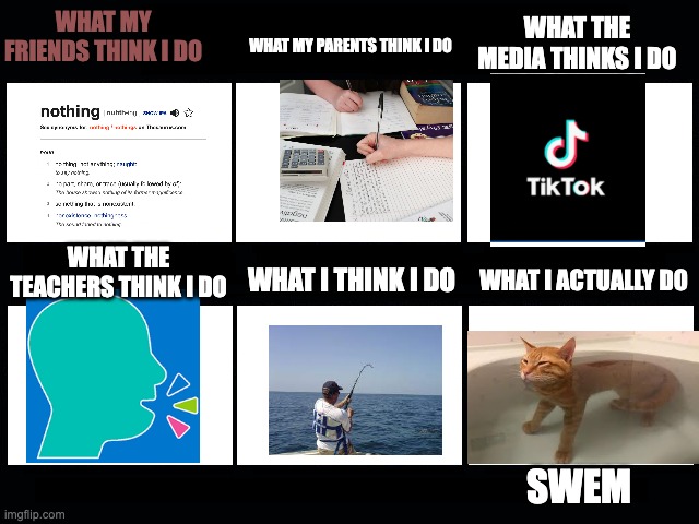 What my friends think I do | WHAT MY FRIENDS THINK I DO; WHAT THE MEDIA THINKS I DO; WHAT MY PARENTS THINK I DO; WHAT THE TEACHERS THINK I DO; WHAT I THINK I DO; WHAT I ACTUALLY DO; SWEM | image tagged in what my friends think i do | made w/ Imgflip meme maker