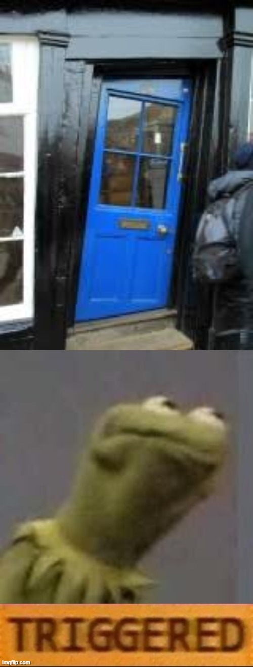 why did you make it like that? | image tagged in kermit triggered | made w/ Imgflip meme maker