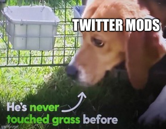 He's never touched grass before | TWITTER MODS | image tagged in he's never touched grass before | made w/ Imgflip meme maker