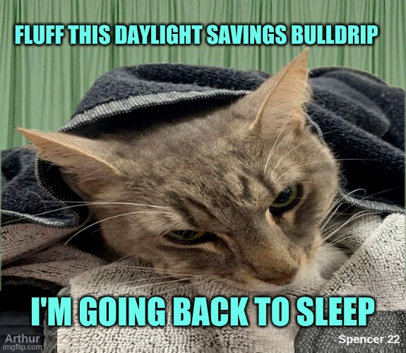 Just Fluff It | FLUFF THIS DAYLIGHT SAVINGS BULLDRIP; I'M GOING BACK TO SLEEP | image tagged in daylight savings time,sleep,ill just wait here,just say no,nap,fluffy | made w/ Imgflip meme maker