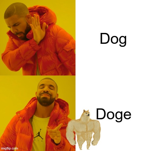 Dog vs Doge | Dog; Doge | image tagged in memes,drake hotline bling,doge | made w/ Imgflip meme maker