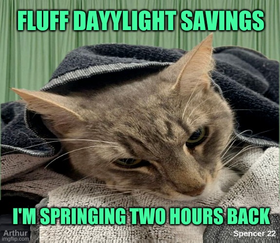 You're doing it wrong | FLUFF DAYYLIGHT SAVINGS; I'M SPRINGING TWO HOURS BACK | image tagged in you're doing it wrong,daylight savings time,spring,slavery,just say no,ill just wait here | made w/ Imgflip meme maker