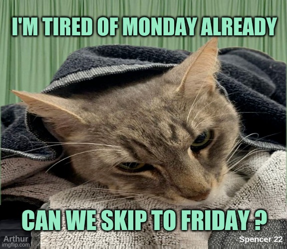 Let's Skip The Mess | I'M TIRED OF MONDAY ALREADY; CAN WE SKIP TO FRIDAY ? | image tagged in monday,monday face,skipper,tired,nap,friday | made w/ Imgflip meme maker