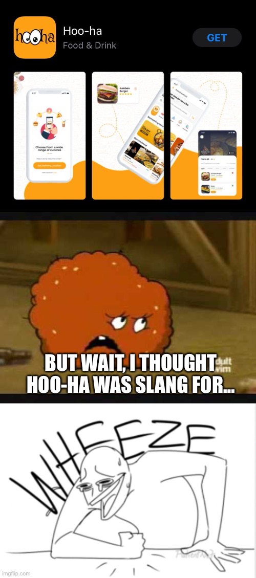 BUT WAIT, I THOUGHT HOO-HA WAS SLANG FOR… | image tagged in confused meatwad,wheeze,slang | made w/ Imgflip meme maker