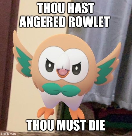 Angry Rowlet | THOU HAST ANGERED ROWLET; THOU MUST DIE | image tagged in angry rowlet | made w/ Imgflip meme maker