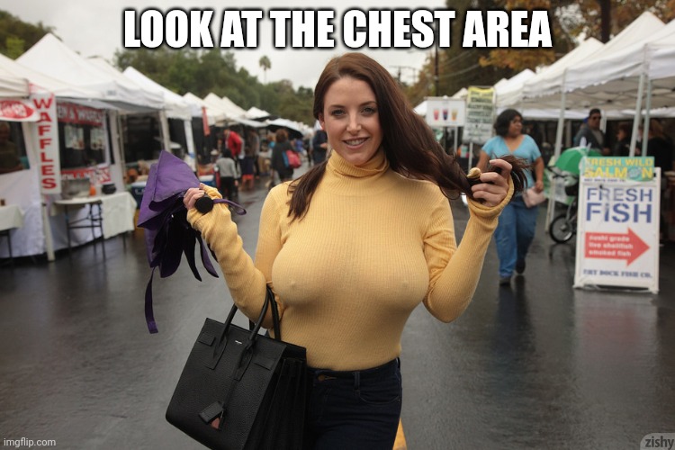 busty & braless with hard nipples | LOOK AT THE CHEST AREA | image tagged in busty braless with hard nipples | made w/ Imgflip meme maker