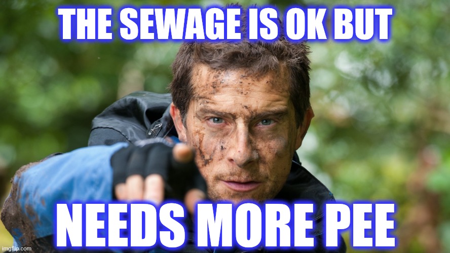 Bear Grylls | THE SEWAGE IS OK BUT NEEDS MORE PEE | image tagged in bear grylls | made w/ Imgflip meme maker