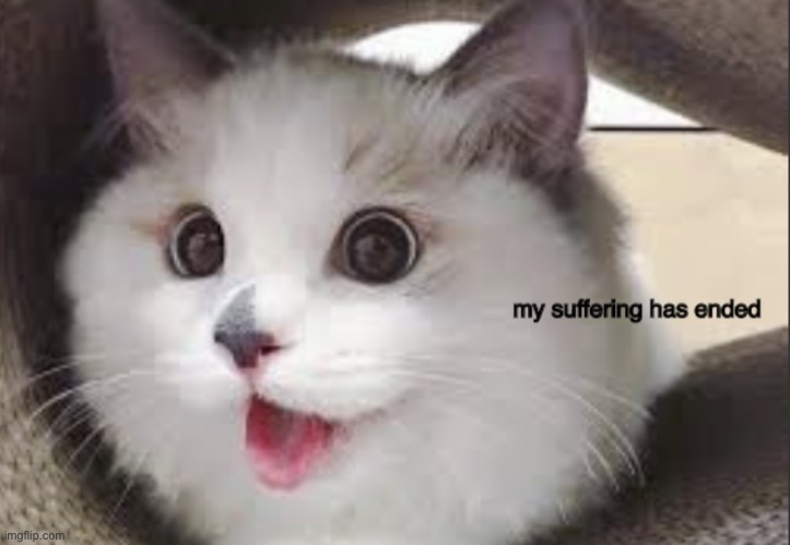 this is an actual template lmao | image tagged in my suffering has ended | made w/ Imgflip meme maker