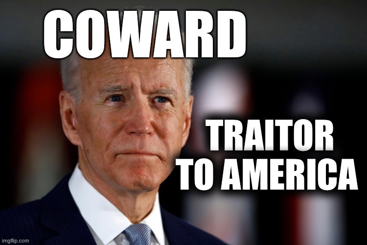 How long do we allow this farce to continue destroying our country? | TRAITOR TO AMERICA | image tagged in cotus,military coup needed | made w/ Imgflip meme maker