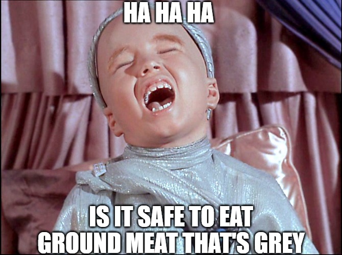 serious | HA HA HA; IS IT SAFE TO EAT GROUND MEAT THAT'S GREY | image tagged in laughing alien | made w/ Imgflip meme maker