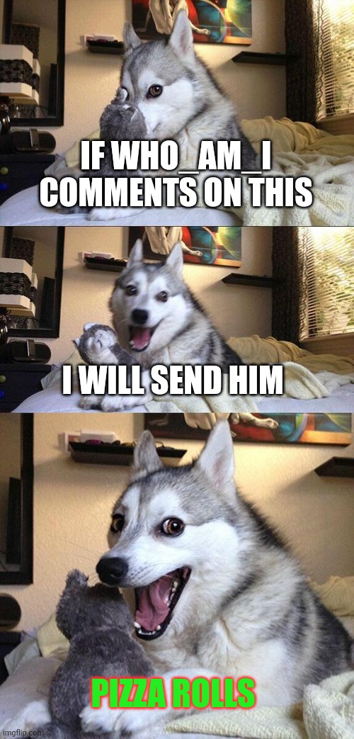 Bad Pun Dog Meme | IF WHO_AM_I COMMENTS ON THIS; I WILL SEND HIM; PIZZA ROLLS | image tagged in memes,bad pun dog | made w/ Imgflip meme maker