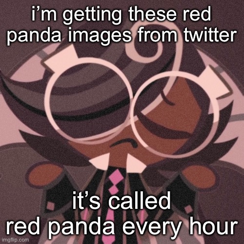 pee | i’m getting these red panda images from twitter; it’s called red panda every hour | image tagged in pee | made w/ Imgflip meme maker