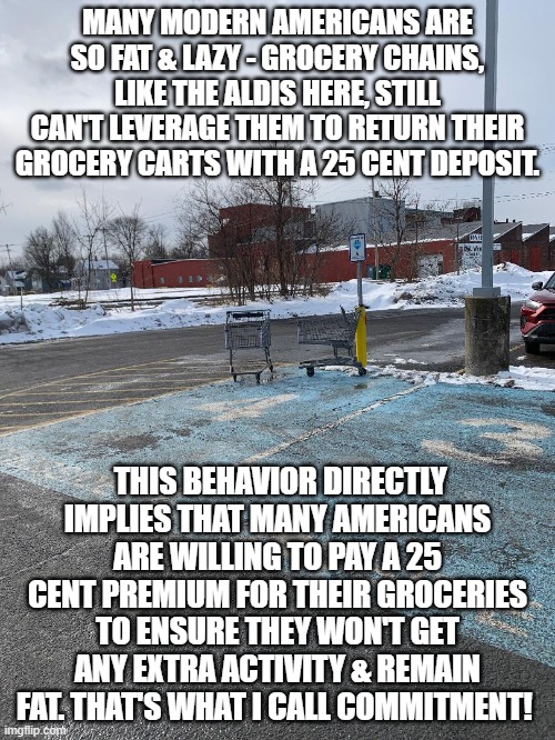 Unless you're disabled, very elderly, or have a kid in the car. Some Americans are very committed to dwindling health. |  MANY MODERN AMERICANS ARE SO FAT & LAZY - GROCERY CHAINS, LIKE THE ALDIS HERE, STILL CAN'T LEVERAGE THEM TO RETURN THEIR GROCERY CARTS WITH A 25 CENT DEPOSIT. THIS BEHAVIOR DIRECTLY IMPLIES THAT MANY AMERICANS ARE WILLING TO PAY A 25 CENT PREMIUM FOR THEIR GROCERIES TO ENSURE THEY WON'T GET ANY EXTRA ACTIVITY & REMAIN FAT. THAT'S WHAT I CALL COMMITMENT! | image tagged in grocery store,wheels on a shopping cart be like,walmart,aldis,lazy people,shopping cart | made w/ Imgflip meme maker