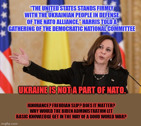 Why do we want this war so bad? | “THE UNITED STATES STANDS FIRMLY WITH THE UKRAINIAN PEOPLE IN DEFENSE OF THE NATO ALLIANCE,” HARRIS TOLD A GATHERING OF THE DEMOCRATIC NATIONAL COMMITTEE; UKRAINE IS NOT A PART OF NATO. IGNORANCE? FREUDIAN SLIP? DOES IT MATTER? WHY WOULD THE BIDEN ADMINISTRATION LET BASIC KNOWLEDGE GET IN THE WAY OF A GOOD WORLD WAR? | image tagged in all the sudden,ukraine is part,of nato,ww3 | made w/ Imgflip meme maker