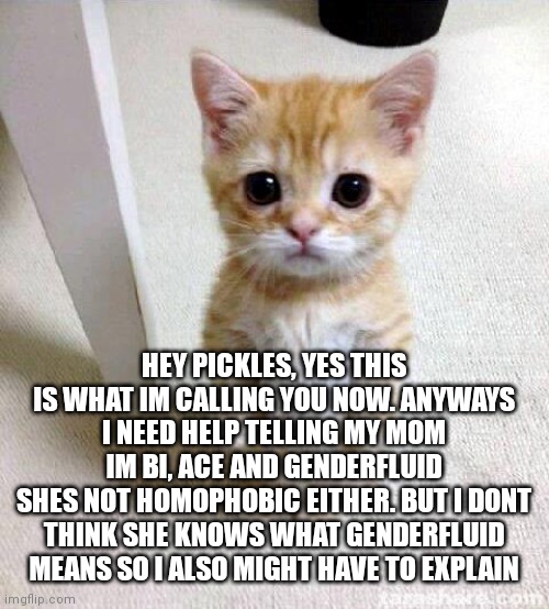 Pickles I need some help here | HEY PICKLES, YES THIS IS WHAT IM CALLING YOU NOW. ANYWAYS I NEED HELP TELLING MY MOM IM BI, ACE AND GENDERFLUID
SHES NOT HOMOPHOBIC EITHER. BUT I DONT THINK SHE KNOWS WHAT GENDERFLUID MEANS SO I ALSO MIGHT HAVE TO EXPLAIN | image tagged in memes,cute cat | made w/ Imgflip meme maker