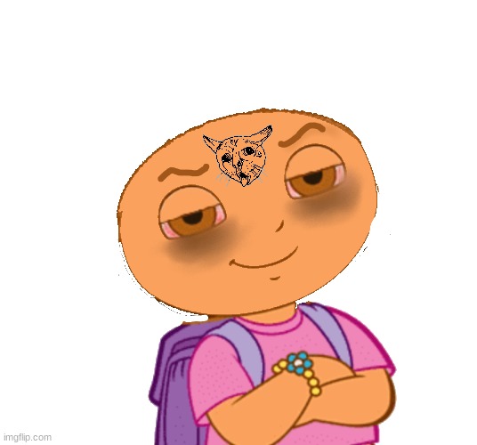 bro what the hell my sis did this | made w/ Imgflip meme maker