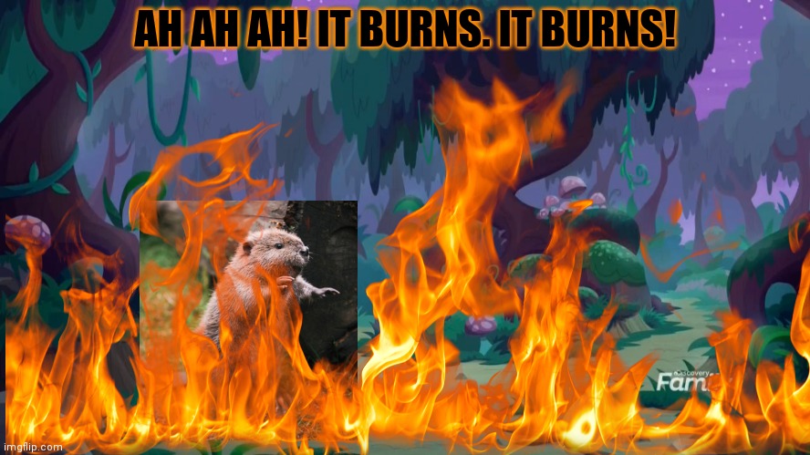 But why? Why would you do that? | AH AH AH! IT BURNS. IT BURNS! | image tagged in forest fire,beaver,but why why would you do that | made w/ Imgflip meme maker