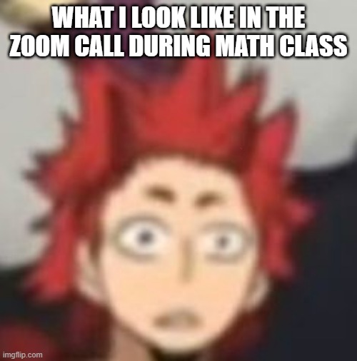 me in the math class zoom | WHAT I LOOK LIKE IN THE ZOOM CALL DURING MATH CLASS | image tagged in confused,anime | made w/ Imgflip meme maker