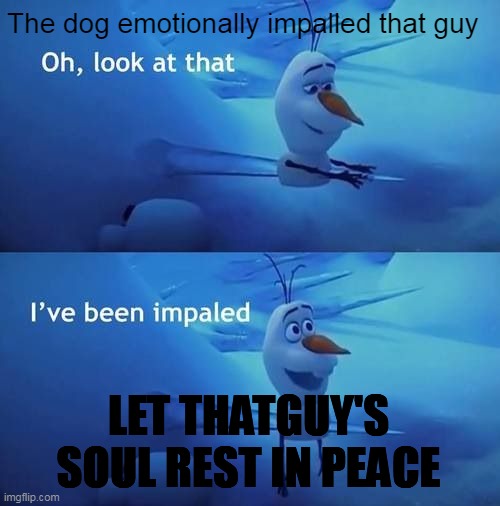 The dog emotionally impalled that guy LET THATGUY'S SOUL REST IN PEACE | image tagged in i've been impaled | made w/ Imgflip meme maker