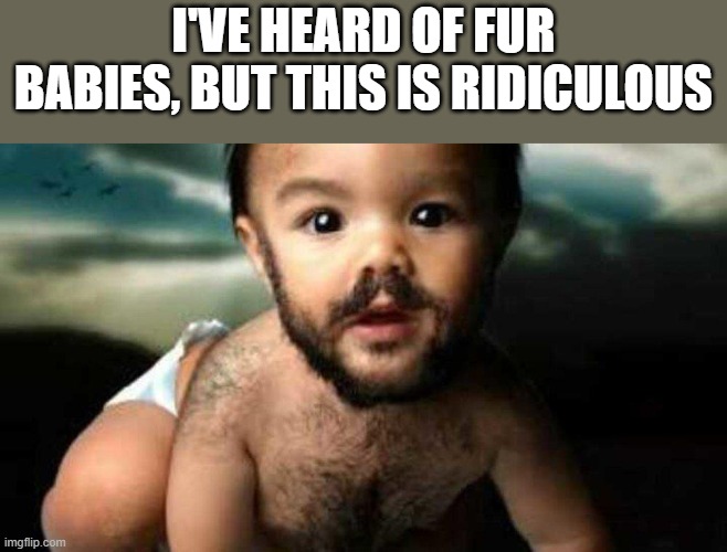 Fur Babies | I'VE HEARD OF FUR BABIES, BUT THIS IS RIDICULOUS | image tagged in fur babies,fur,babies,ridiculous | made w/ Imgflip meme maker