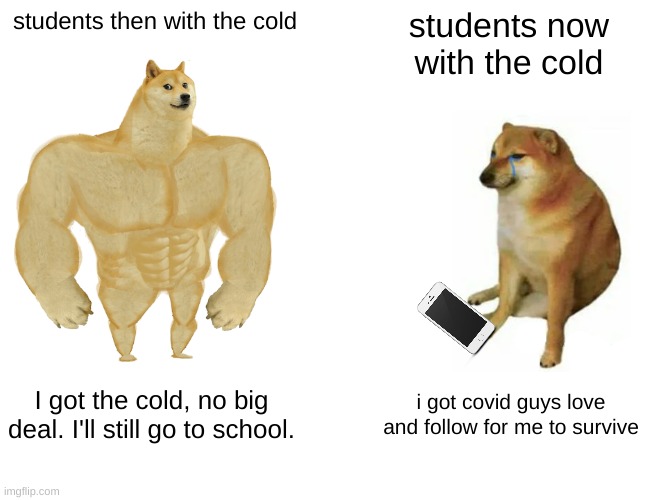 Flipping tiktokers make me cringe | students then with the cold; students now with the cold; I got the cold, no big deal. I'll still go to school. i got covid guys love and follow for me to survive | image tagged in memes,buff doge vs cheems | made w/ Imgflip meme maker