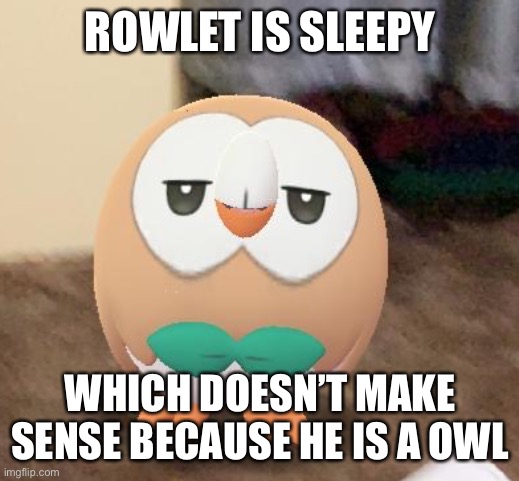 Like wtf | ROWLET IS SLEEPY; WHICH DOESN’T MAKE SENSE BECAUSE HE IS A OWL | image tagged in sleepy rowlet | made w/ Imgflip meme maker