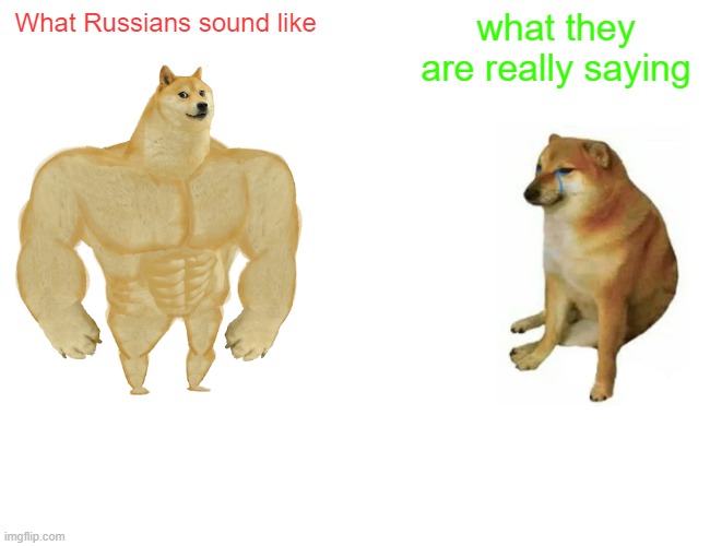 Buff Doge vs. Cheems Meme | What Russians sound like; what they are really saying | image tagged in memes,buff doge vs cheems | made w/ Imgflip meme maker