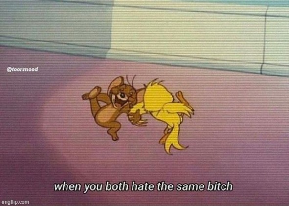 me and Cinna talking shit about everyone: | made w/ Imgflip meme maker