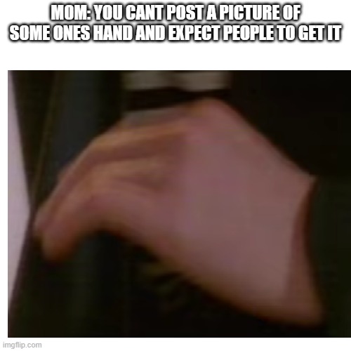 Hand |  MOM: YOU CANT POST A PICTURE OF SOME ONES HAND AND EXPECT PEOPLE TO GET IT | image tagged in memes,meme,funny memes,funny,lol,lol so funny | made w/ Imgflip meme maker