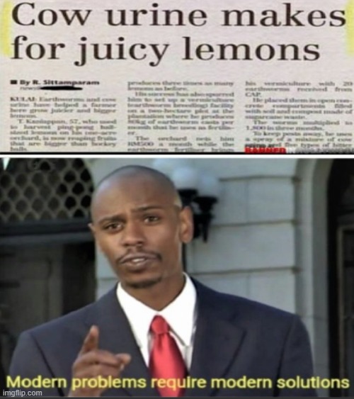 IS THAT WHATS INSIDE LEMONS | image tagged in y-u-c-k,in case you are wondering how lemons are made,here is the answer | made w/ Imgflip meme maker