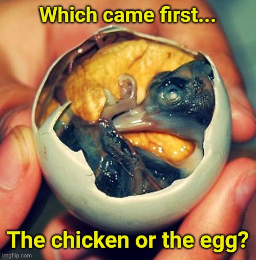 Why Not Both? | Which came first... The chicken or the egg? | image tagged in chicken,eggs,why not both,memes | made w/ Imgflip meme maker
