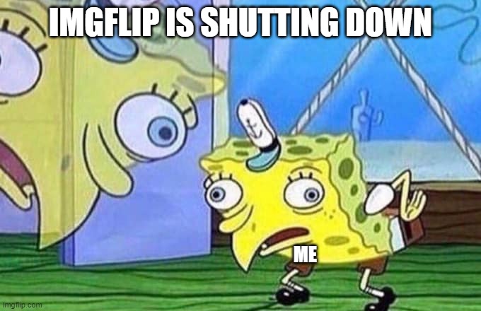 lol | IMGFLIP IS SHUTTING DOWN; ME | image tagged in mocking spongebob,noooooooooooooooooooooooo | made w/ Imgflip meme maker