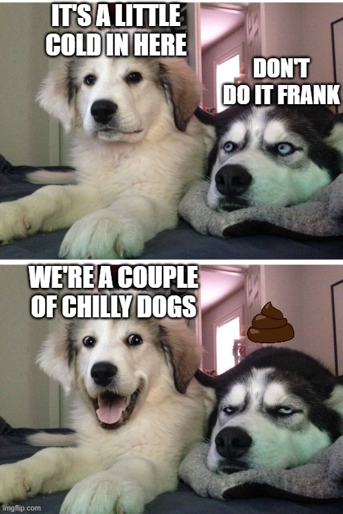 Prepare some buns | IT'S A LITTLE COLD IN HERE; DON'T DO IT FRANK; WE'RE A COUPLE OF CHILLY DOGS | image tagged in bad pun dogs,memes,chilidog,cold,chilly | made w/ Imgflip meme maker