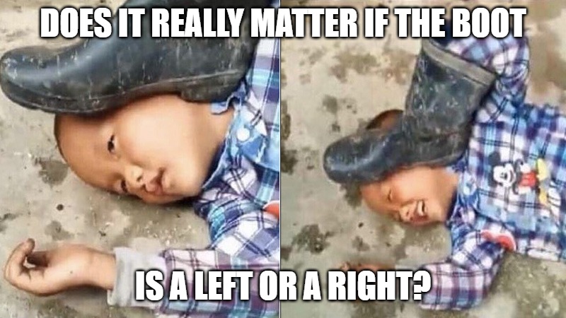 Boot on the head | DOES IT REALLY MATTER IF THE BOOT; IS A LEFT OR A RIGHT? | image tagged in politics,communism,fascism,republican,democrat,libertarian | made w/ Imgflip meme maker