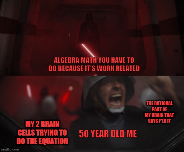 Quick Maths | ALGEBRA MATH YOU HAVE TO DO BECAUSE IT'S WORK RELATED; THE RATIONAL PART OF MY BRAIN THAT SAYS F*(K IT; MY 2 BRAIN CELLS TRYING TO DO THE EQUATION; 50 YEAR OLD ME | image tagged in darth vader vs rebel | made w/ Imgflip meme maker
