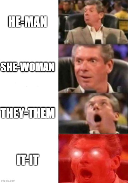 Dunno if this is the right template | HE-MAN; SHE-WOMAN; THEY-THEM; IT-IT | image tagged in mr mcmahon reaction | made w/ Imgflip meme maker