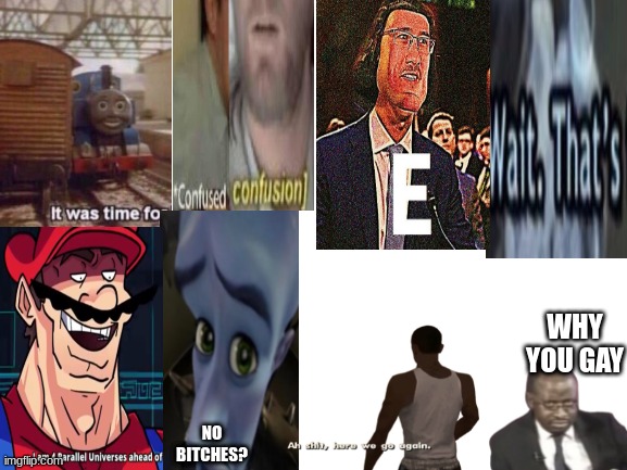 Blank White Template | WHY YOU GAY; NO BITCHES? | image tagged in blank white template | made w/ Imgflip meme maker