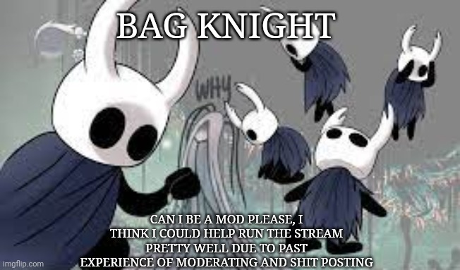Bag knight for mod: I don't even know what I'm doing anymore | BAG KNIGHT; CAN I BE A MOD PLEASE, I THINK I COULD HELP RUN THE STREAM PRETTY WELL DUE TO PAST EXPERIENCE OF MODERATING AND SHIT POSTING | image tagged in why hollow knight,legend of bag knight | made w/ Imgflip meme maker