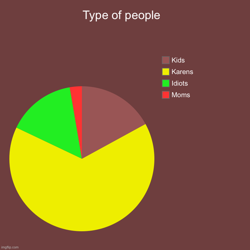Type of people  | Moms, Idiots , Karens, Kids | image tagged in charts,pie charts | made w/ Imgflip chart maker