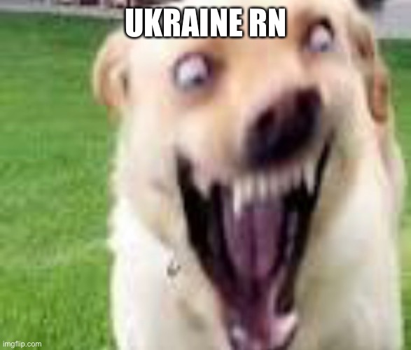 Ukraine | UKRAINE RN | image tagged in doge | made w/ Imgflip meme maker