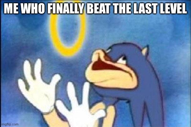Sonic derp | ME WHO FINALLY BEAT THE LAST LEVEL | image tagged in sonic derp | made w/ Imgflip meme maker
